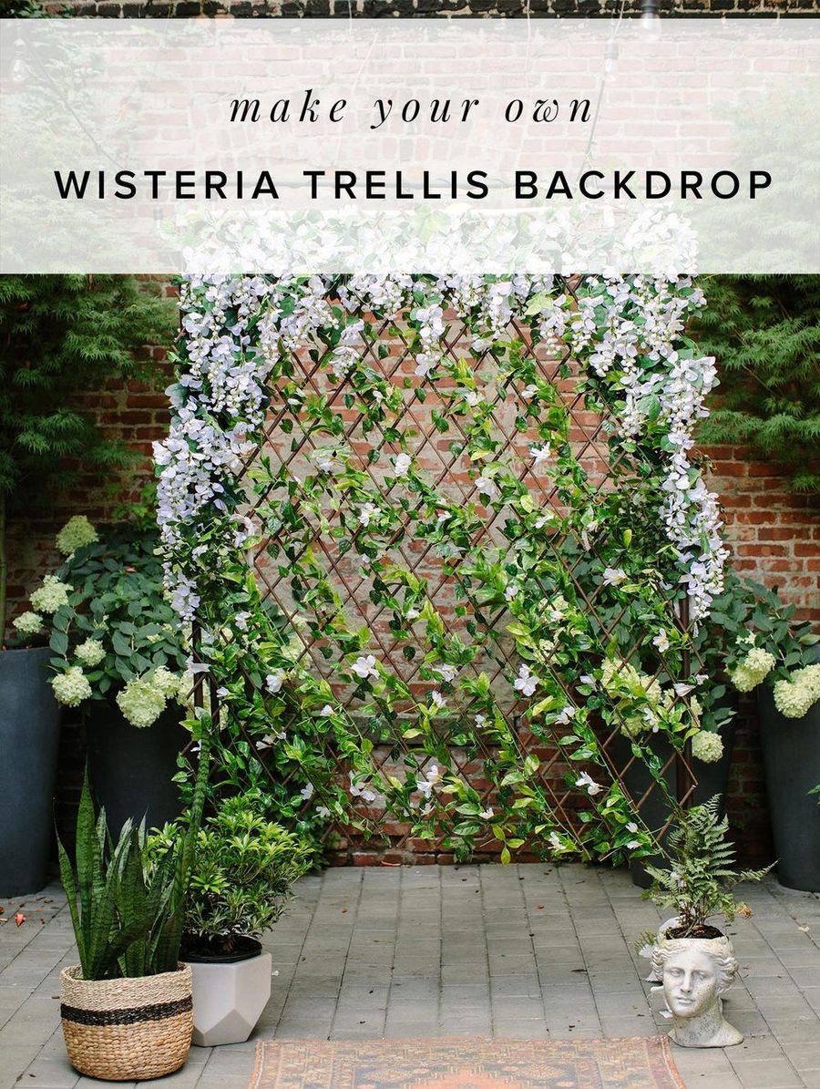 DIY Wisteriatrellisbackdrop Ruffled